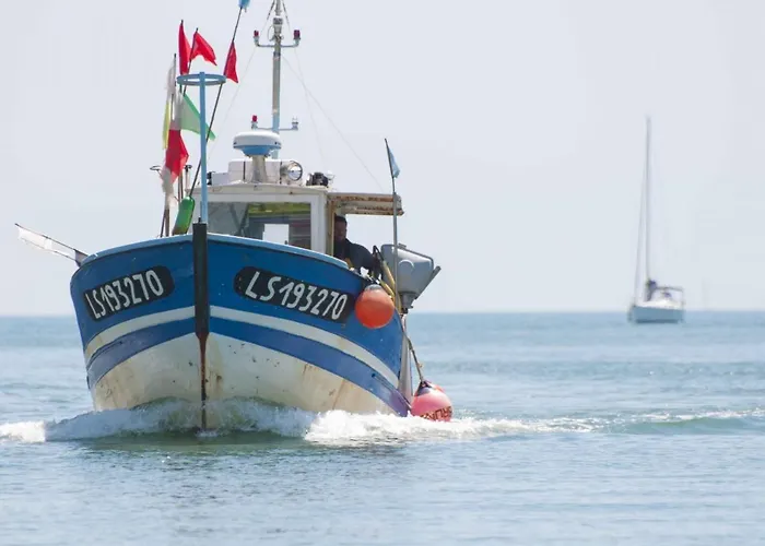 בית נופש Pavillon Avec Jardin Clos, Terrasse, Et Confort, A 950m De La Des Sables-d'olonne - Fr-1-92-743