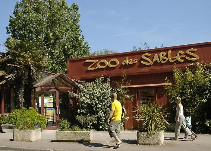 Pavillon Avec Jardin Clos, Terrasse, Et Confort, A 950m De La Des Sables-d'olonne - Fr-1-92-743